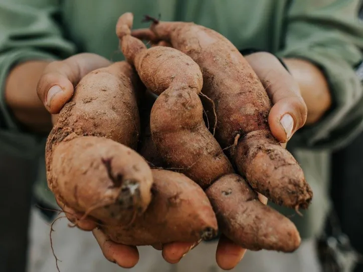 Person holding vegetables