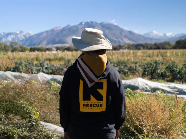 IRC staff member observes open fruit and vegetable field