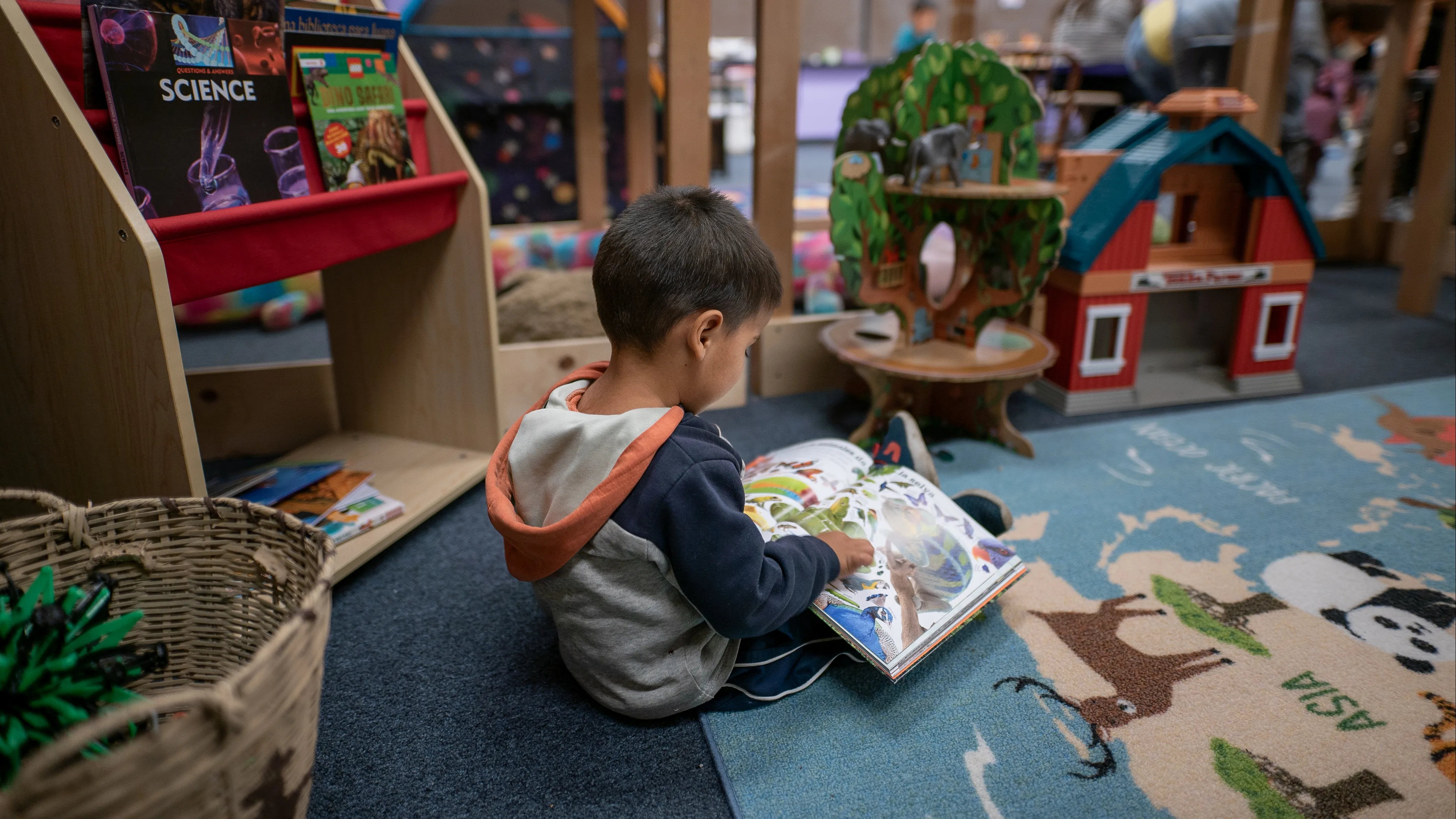 A small boy sits and reads a book